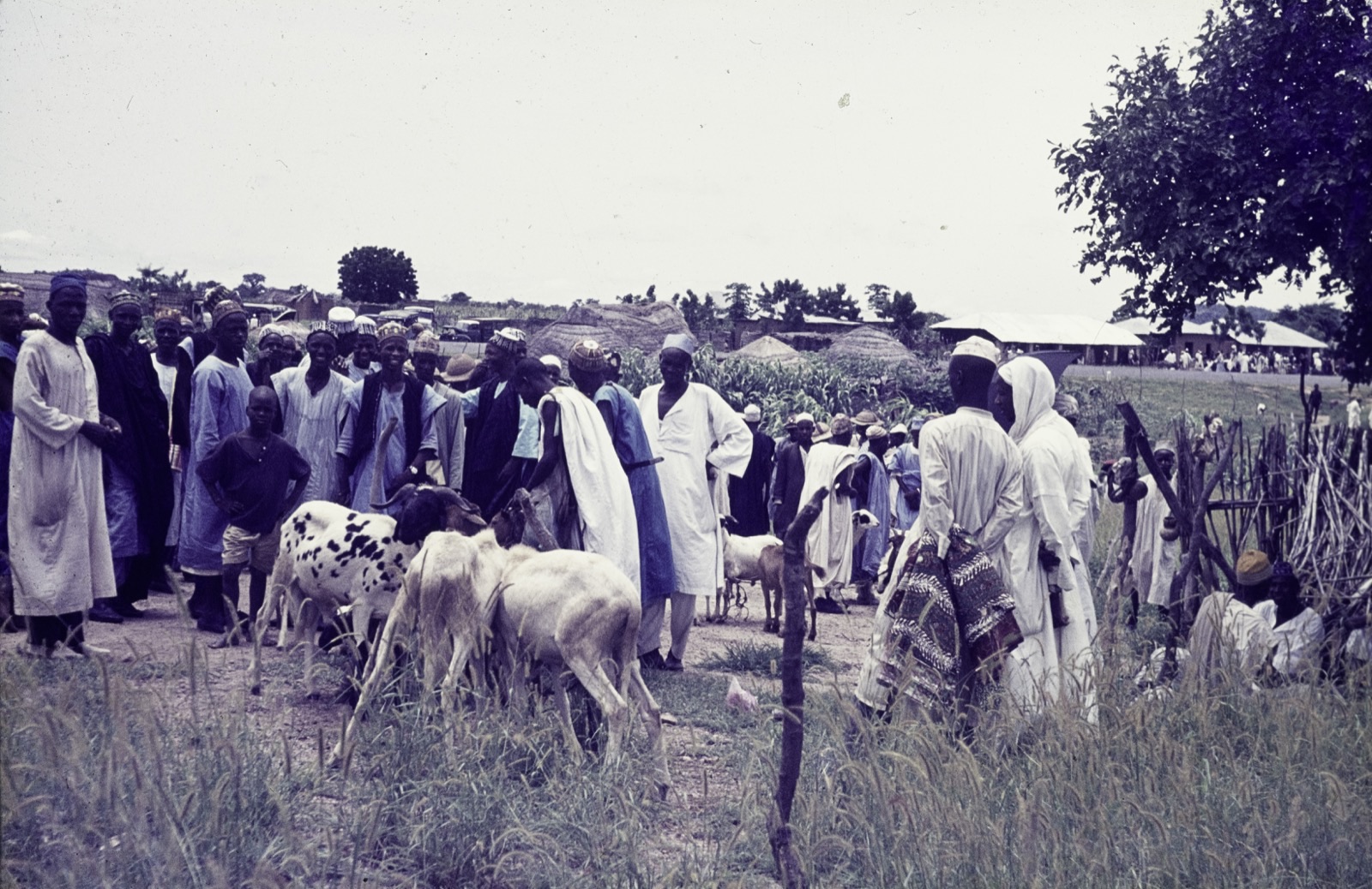Village market near Jos, early 1970s