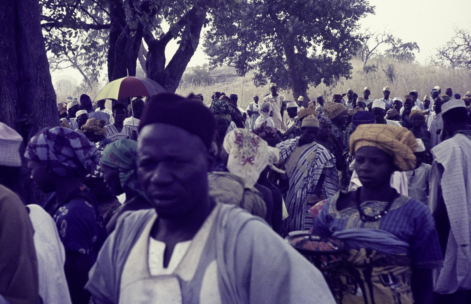 Nigeria market under trees, early 1970s — Bauchi province